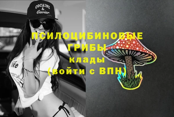 каннабис Бородино