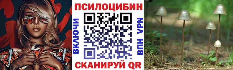 Купить закладки  Нолинск  Псилоцибиновые грибы MAGIC MUSHROOMS 